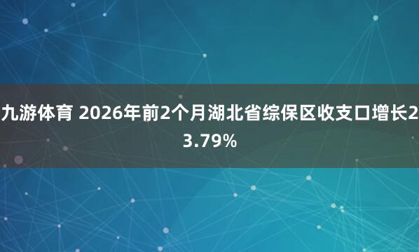 九游体育 2026年前2个月湖北省综保区收支口增长23.79%