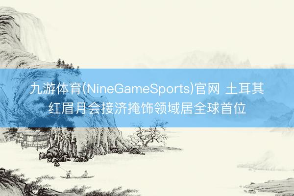 九游体育(NineGameSports)官网 土耳其红眉月会接济掩饰领域居全球首位