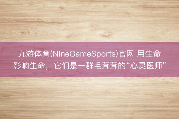 九游体育(NineGameSports)官网 用生命影响生命，它们是一群毛茸茸的“心灵医师”