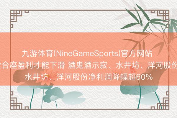 九游体育(NineGameSports)官方网站 白酒年报| 白酒行业合座盈利才能下滑 酒鬼酒示寂、水井坊、洋河股份净利润降幅超60%