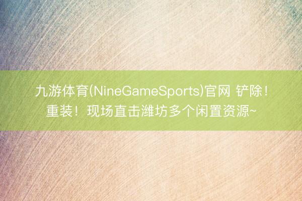 九游体育(NineGameSports)官网 铲除！重装！现场直击潍坊多个闲置资源~