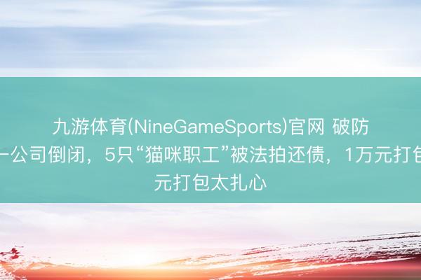 九游体育(NineGameSports)官网 破防！福建一公司倒闭，5只“猫咪职工”被法拍还债，1万元打包太扎心