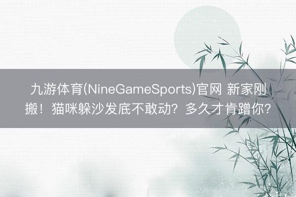 九游体育(NineGameSports)官网 新家刚搬!猫咪躲沙发底不敢动?多久才肯蹭你?