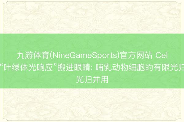 九游体育(NineGameSports)官方网站 Cell | 把“叶绿体光响应”搬进眼睛: 哺乳动物细胞的有限光归并用