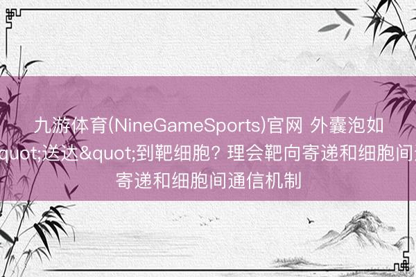 九游体育(NineGameSports)官网 外囊泡如何精确"送达"到靶细胞? 理会靶向寄递和细胞间通信机制