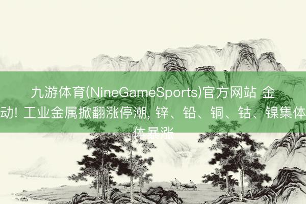 九游体育(NineGameSports)官方网站 金属暴动! 工业金属掀翻涨停潮， 锌、铅、铜、钴、镍集体暴涨