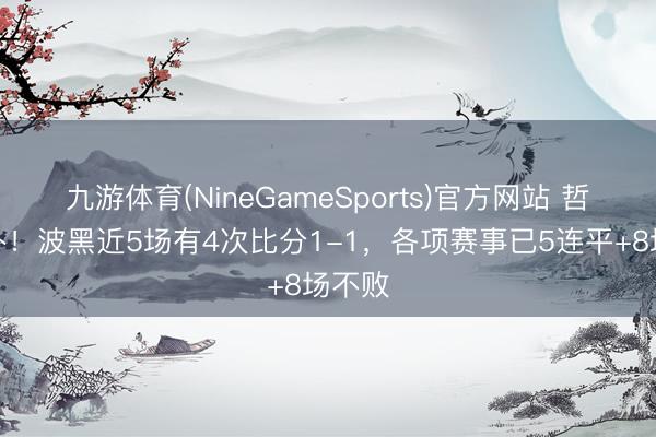 九游体育(NineGameSports)官方网站 哲科替补！波黑近5场有4次比分1-1，各项赛事已5连平+8场不败