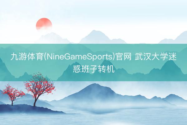 九游体育(NineGameSports)官网 武汉大学迷惑班子转机